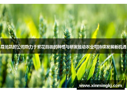 尊龙凯时公司致力于紫花苜蓿的种植与研发推动农业可持续发展新机遇