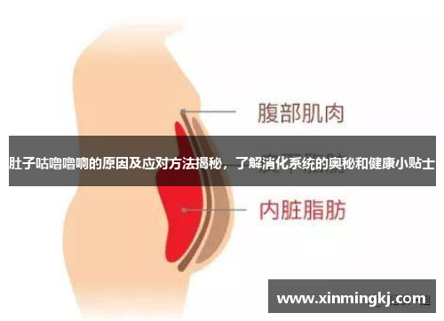 肚子咕噜噜响的原因及应对方法揭秘，了解消化系统的奥秘和健康小贴士