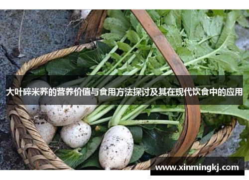 大叶碎米荞的营养价值与食用方法探讨及其在现代饮食中的应用