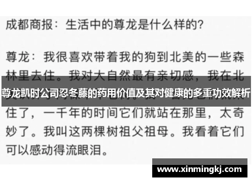 尊龙凯时公司忍冬藤的药用价值及其对健康的多重功效解析