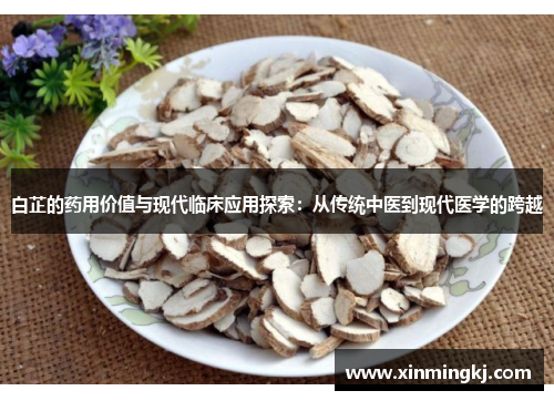 白芷的药用价值与现代临床应用探索：从传统中医到现代医学的跨越