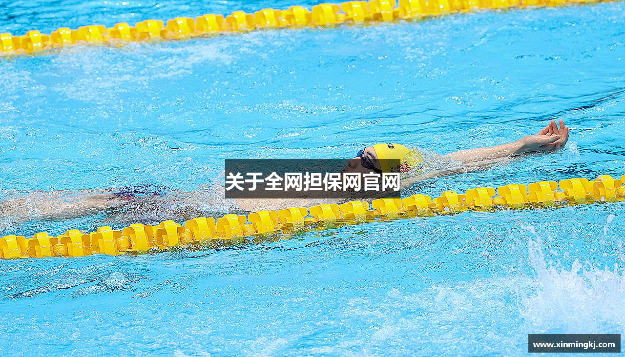 关于全网担保网官网